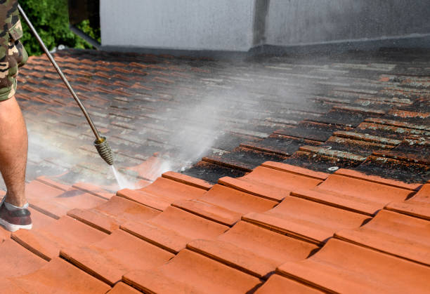 Best House Pressure Washing  in New Lenox, IL